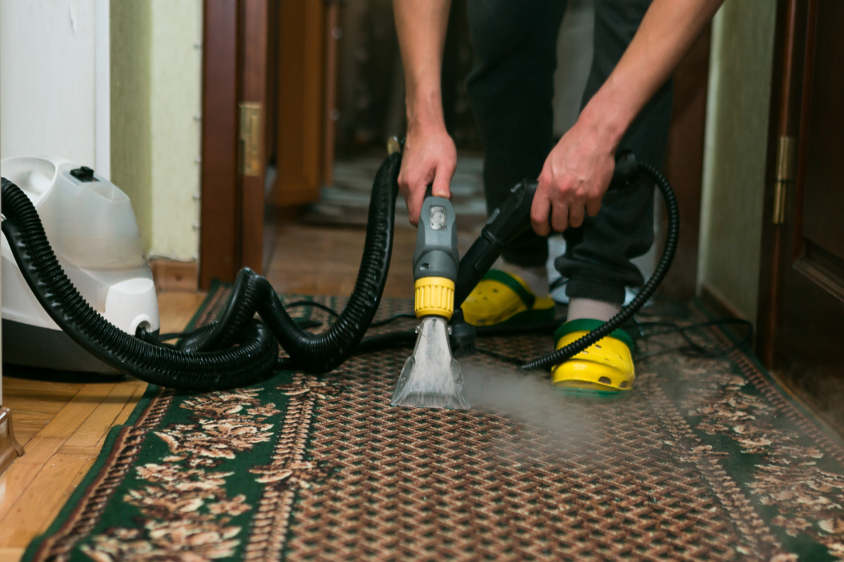 Professional Carpet Cleaning