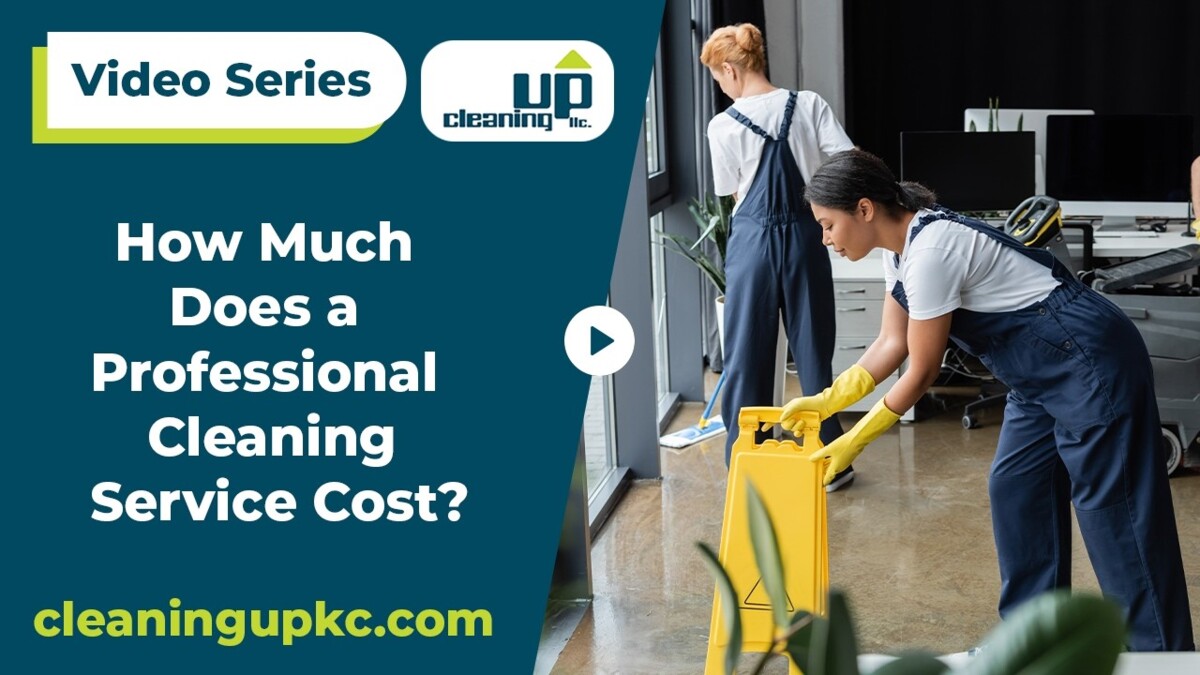 professional cleaning service cost